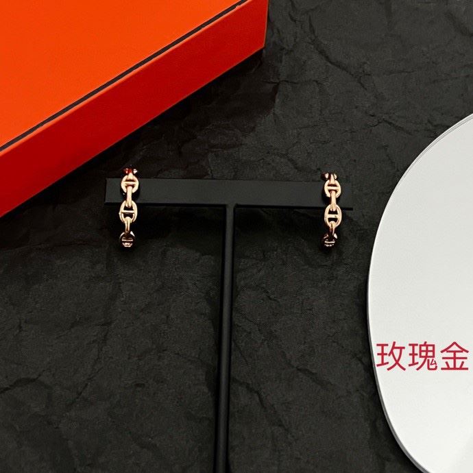 Hermes Earrings